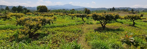 willperryevans Profile Banner