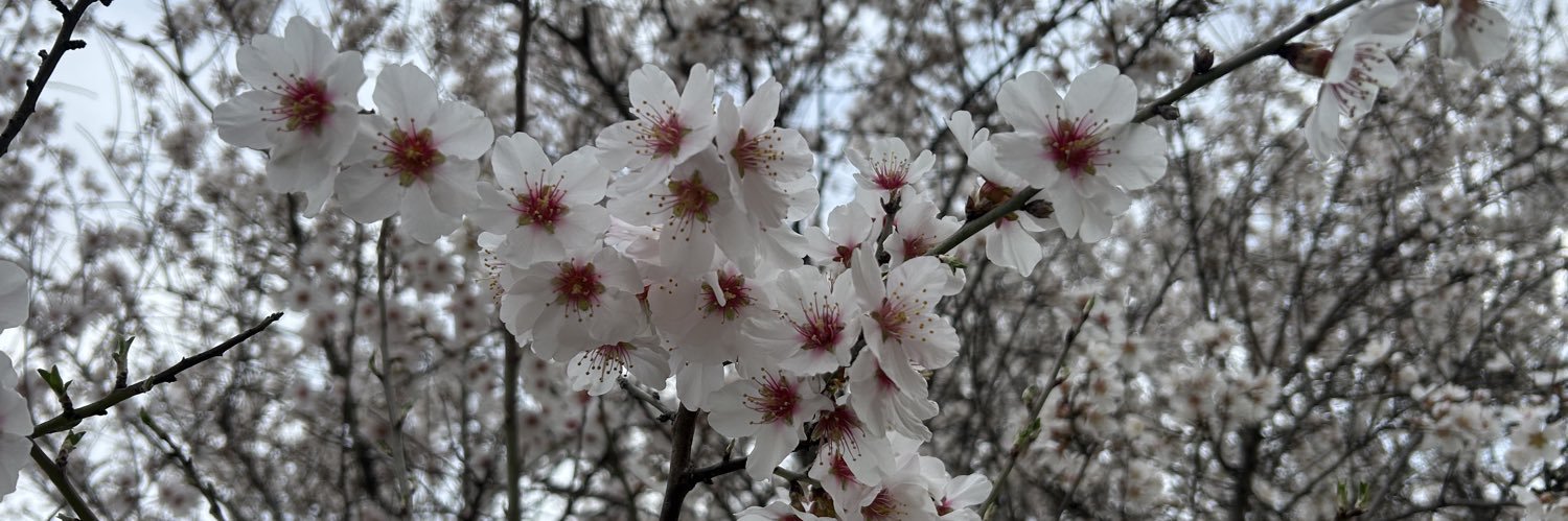 SeverinaCastaña banner