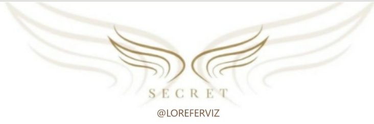 loreferviz's profile banner image