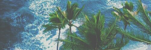 fr3ya_1975's profile banner image