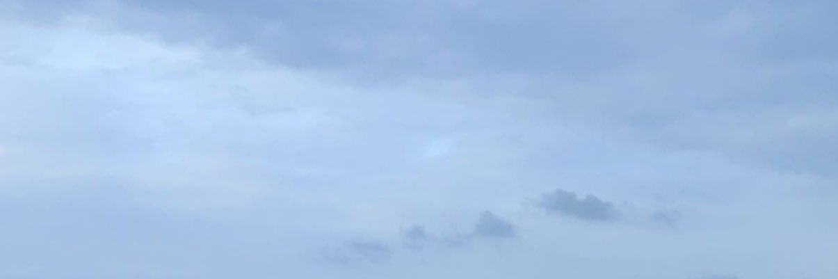 madrewho's profile banner image