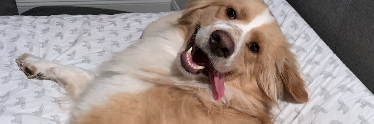 aubree_rhom's profile banner image