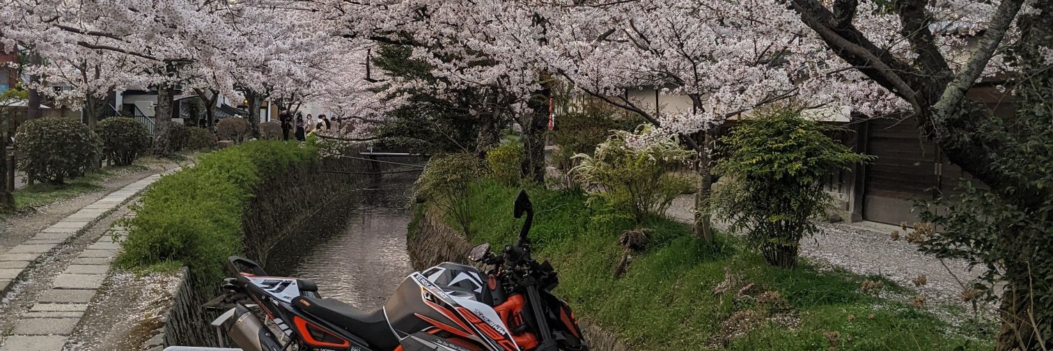koh1jp's profile banner image