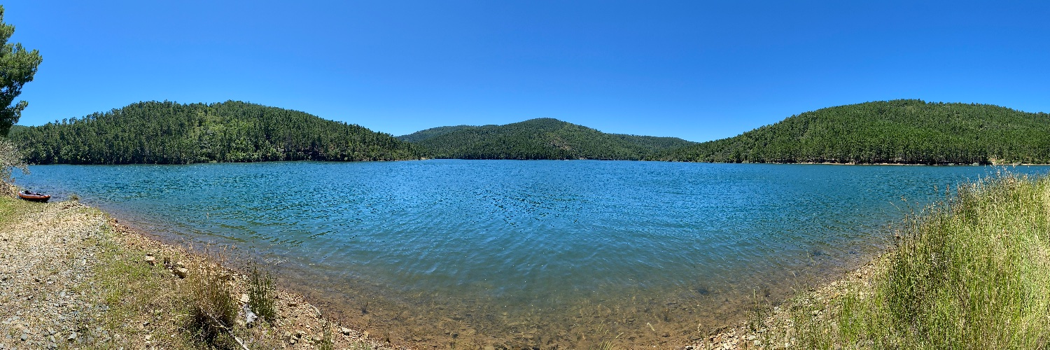 Sarah 🐈‍⬛ banner