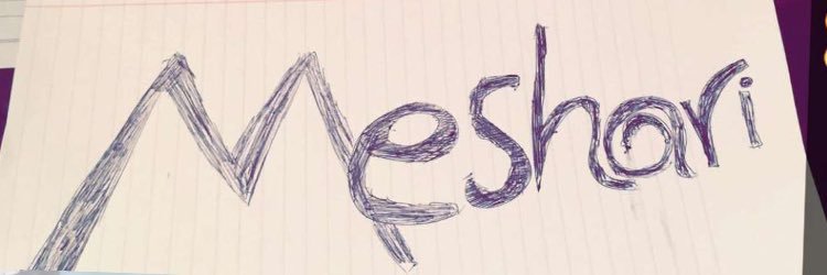 M11Mesh's profile banner image