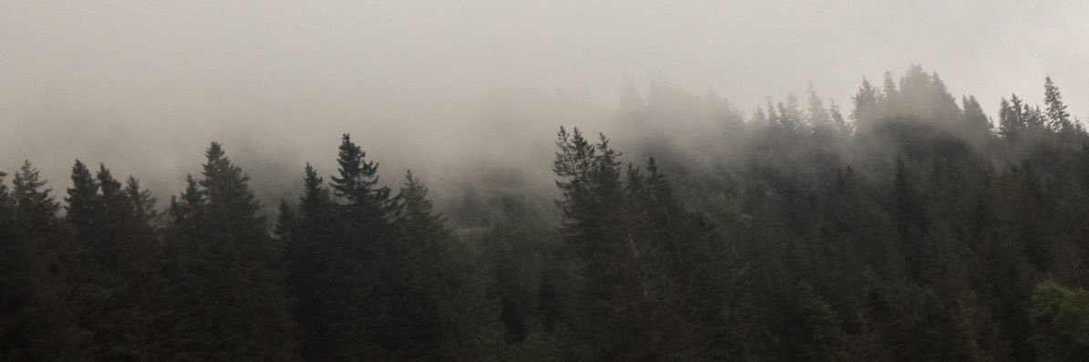 KyleePourier's profile banner image