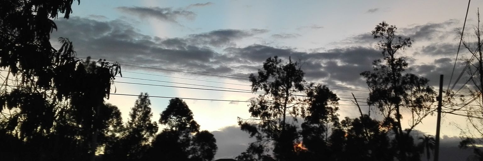 marko_ce's profile banner image