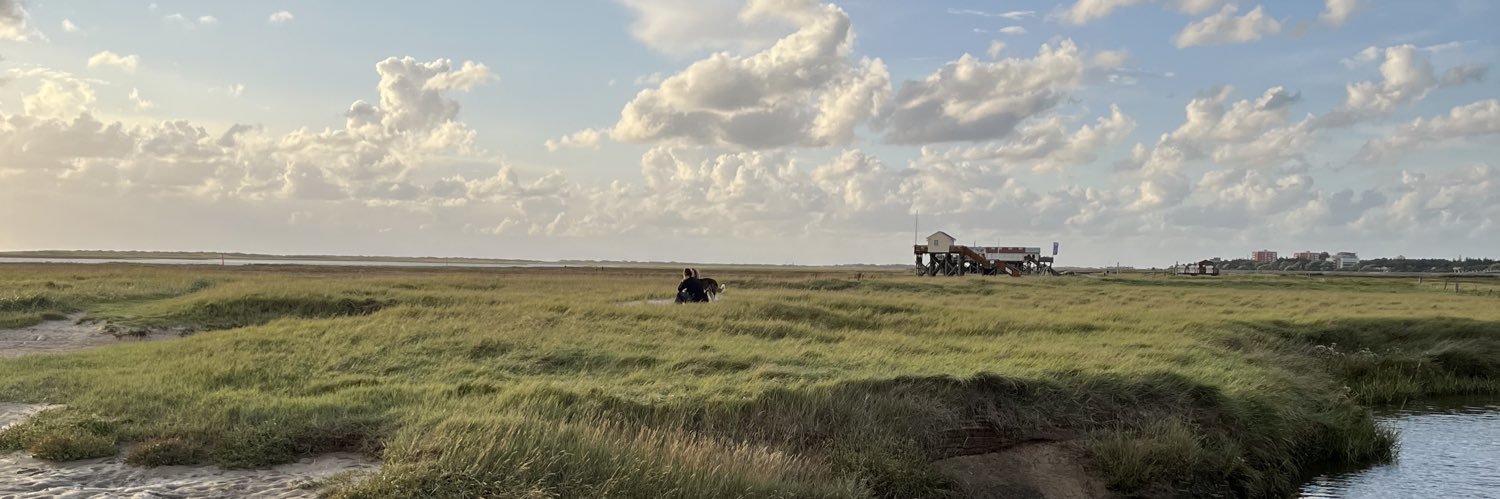 Ralf Wiechers banner