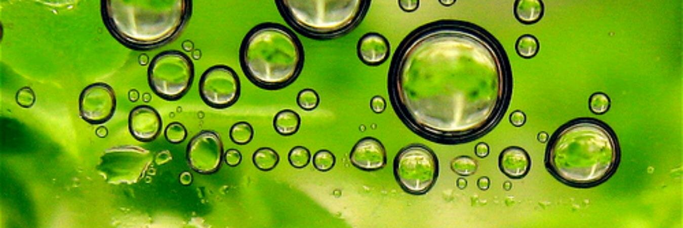 GreenSourceNews's profile banner image