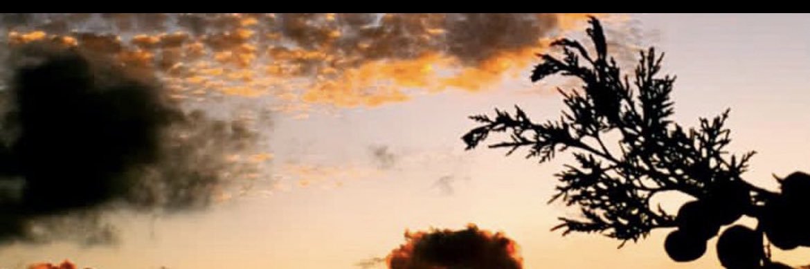 alamrisultan2's profile banner image