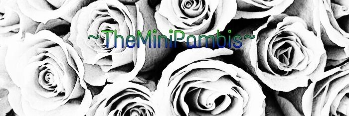 TheMiniPambis's profile banner image