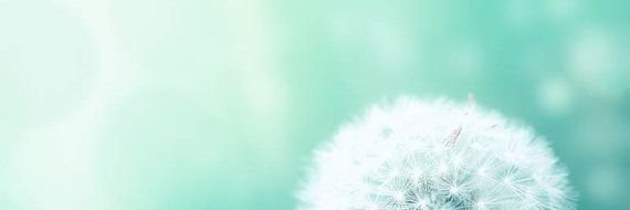 monimaginari's profile banner image
