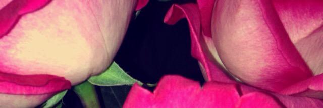 VictoriaaaML's profile banner image