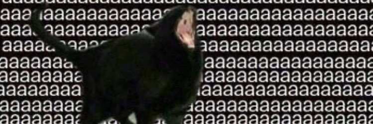 HannahRose142's profile banner image