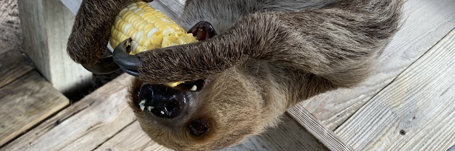 SpudForReal's profile banner image