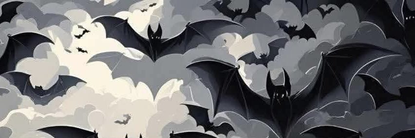 suborrah's profile banner image