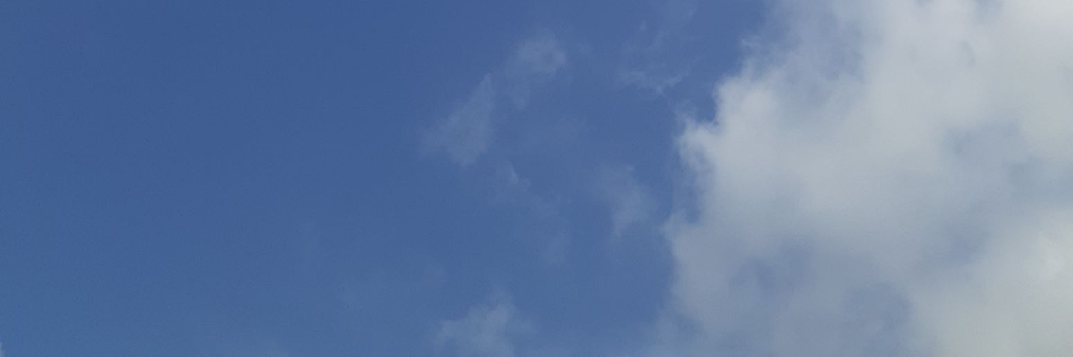 blueskyindigose's profile banner image