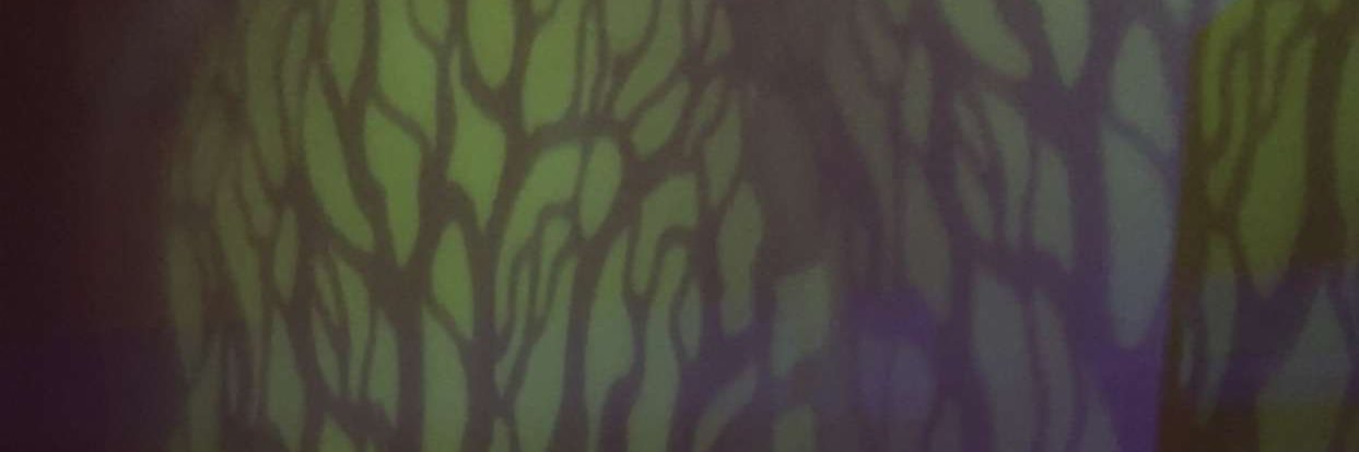 FawneHeather's profile banner image