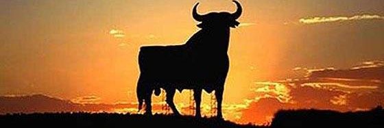 Josechu Sanz banner