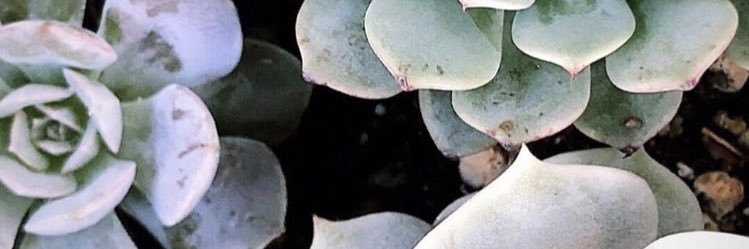 bmeins95's profile banner image