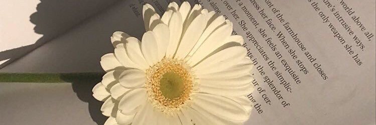 DChumpon's profile banner image