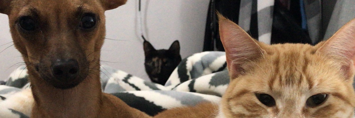brrunabarbosa's profile banner image