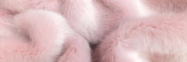 Cassie. banner