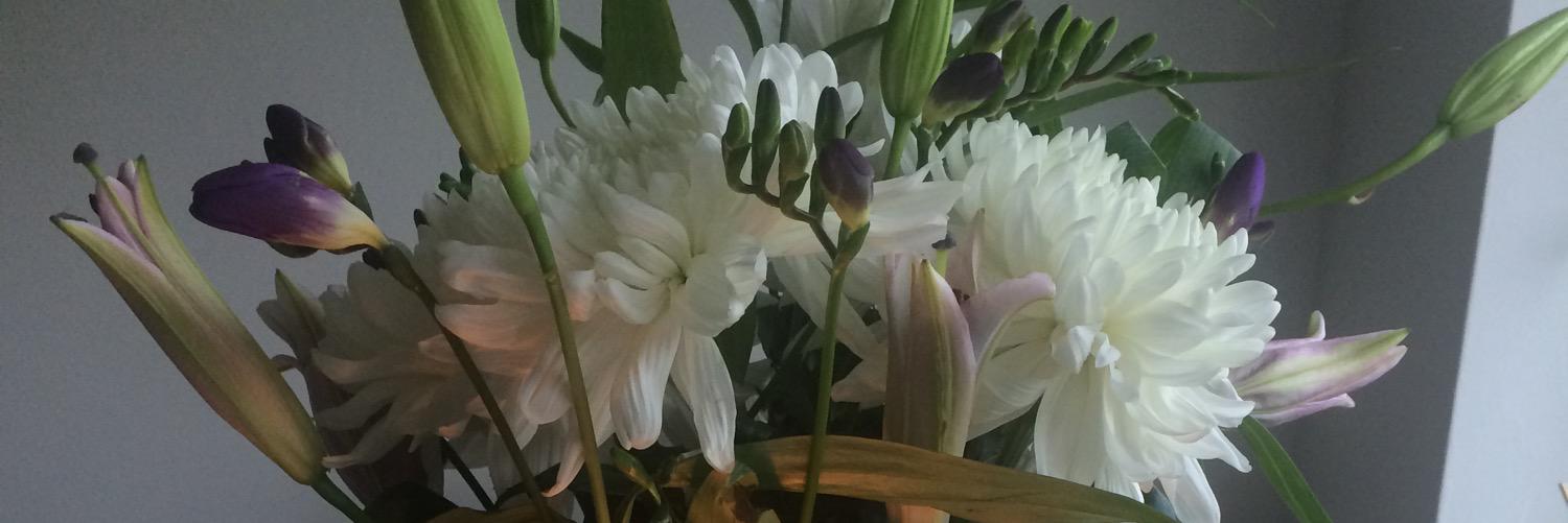 MissAmyLou89's profile banner image