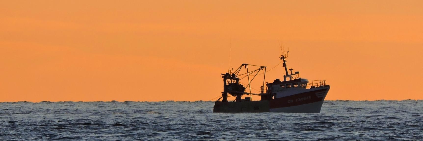 Irene Toscana banner