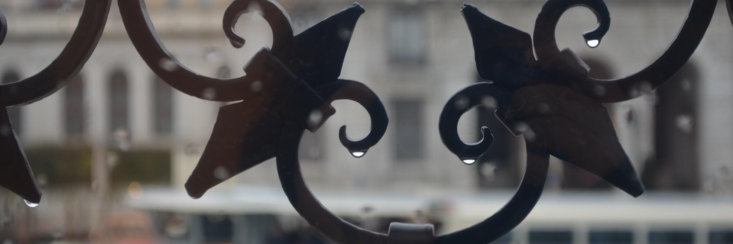 Dr. Viktoriia_Grivina banner