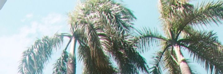 but, damn Gina! banner