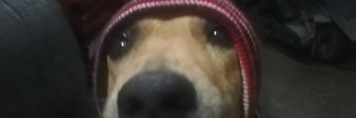 DyfeaR's profile banner image