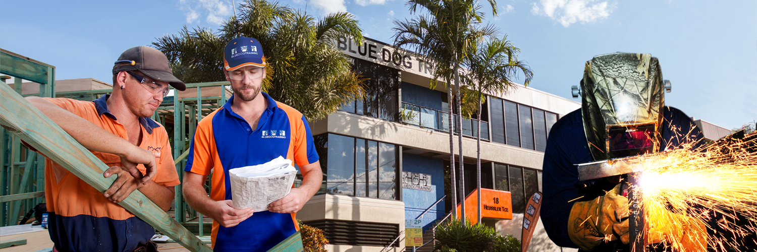 BlueDogTraining's profile banner image
