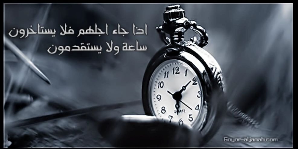 ابو لانا banner