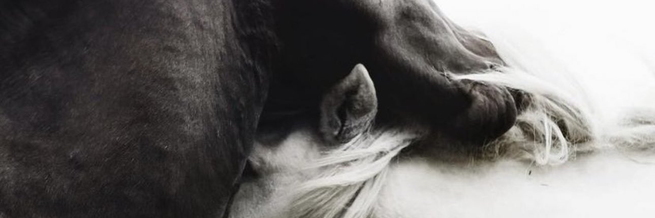 Saloomz770's profile banner image