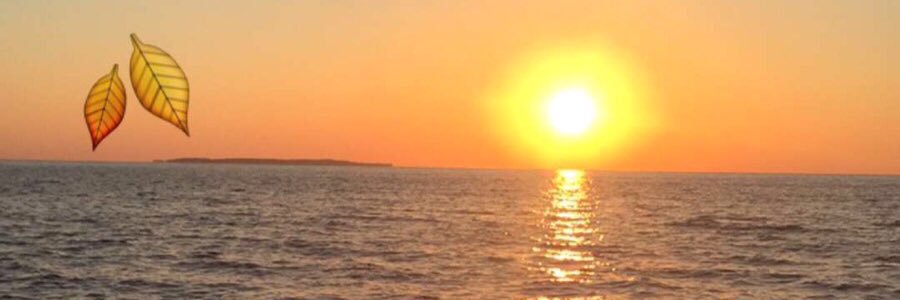 sahem1980's profile banner image
