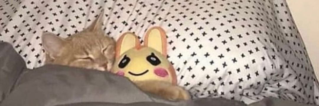 RaquelSalgado97's profile banner image