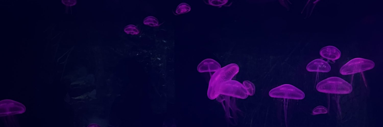 Chummy1120's profile banner image