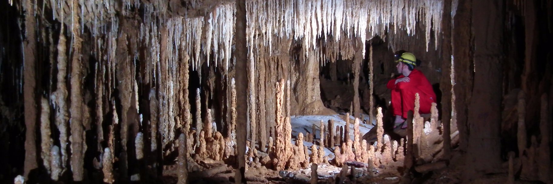 Nick Scroxton banner