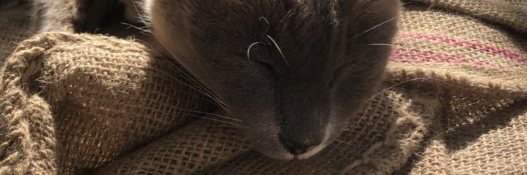 itagimenez3's profile banner image