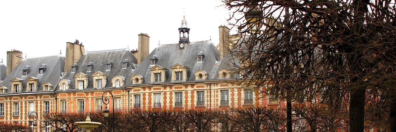 1FrenchThing's profile banner image
