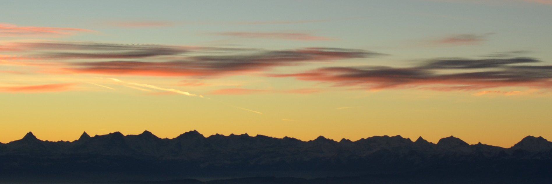 Valentin Wepfer banner