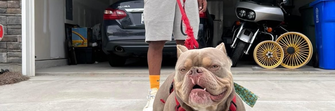 JonesBoi910's profile banner image