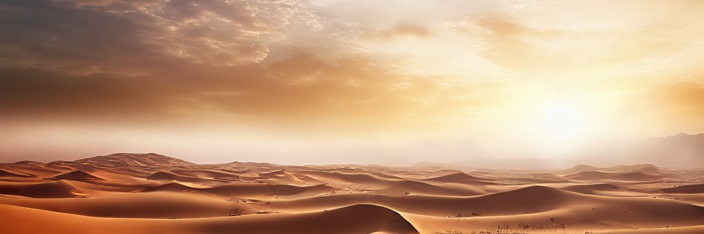 Dr.Hotha🇸🇦د.هوذة's banner