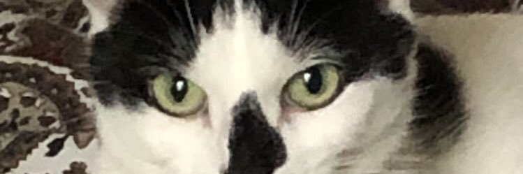 bodburtee's profile banner image