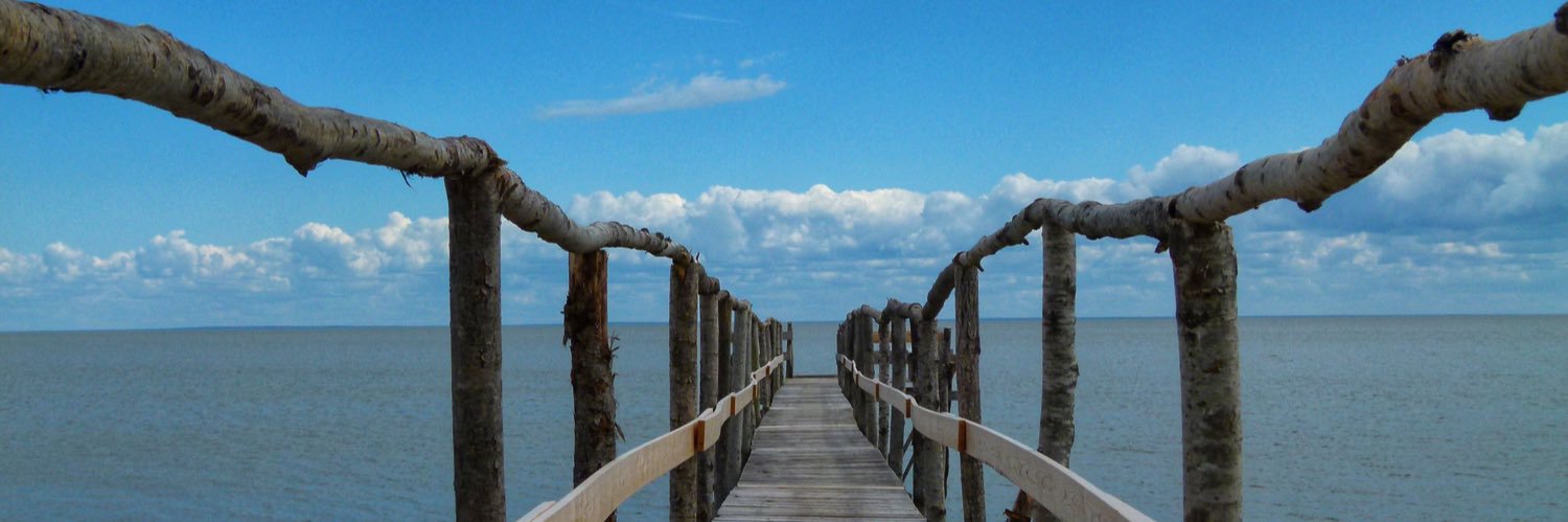 Dr. Lauren💀✍️ banner