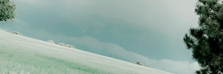 cassiestrunk's profile banner image