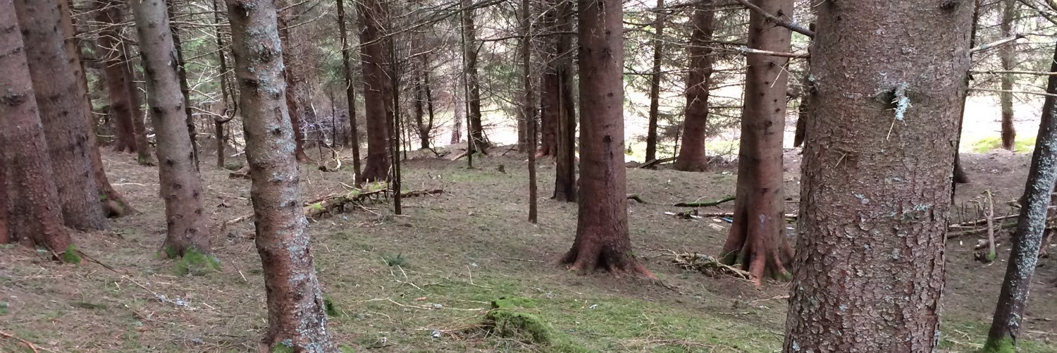 gsbreivik's profile banner image