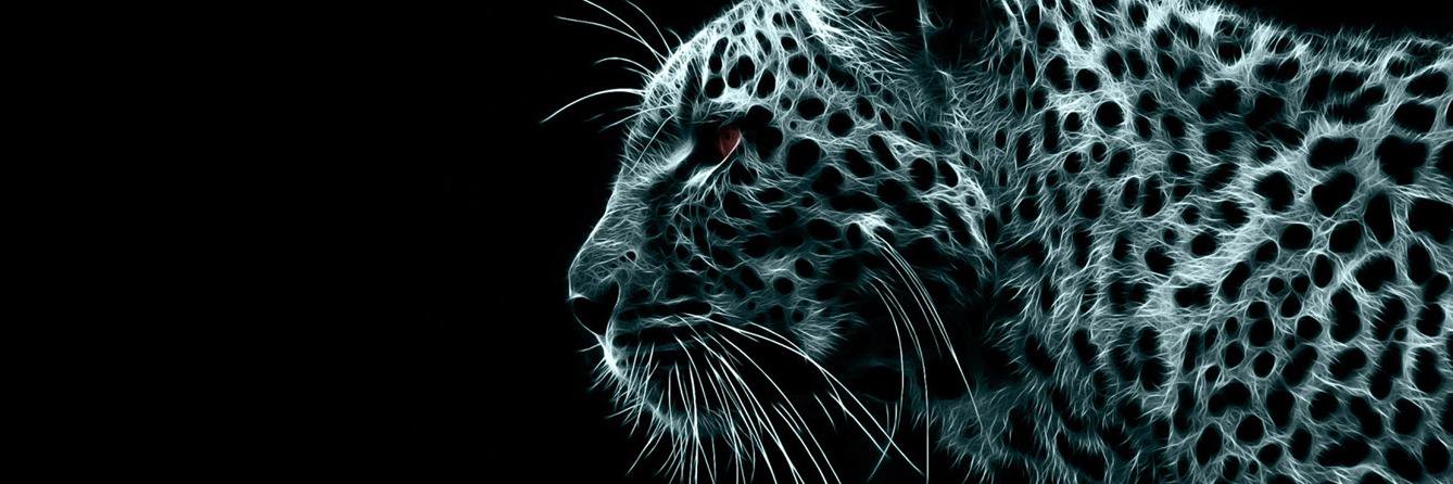 jaimemamani3's profile banner image
