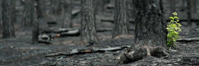 jonathanbottoms's profile banner image